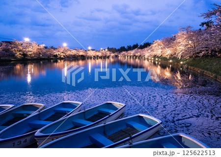 弘前公園の夜桜 弘前公園の夜桜 125622513