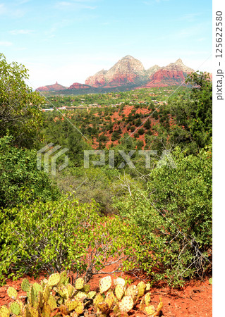 Red Rock Country surrounding Sedona Arizona 125622580