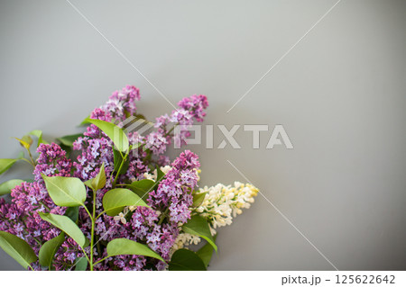 Spring bouquet of lilacs in white and purple shades on a gray background 125622642