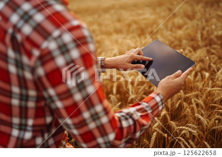Tablet in the hands of a farmer. Smart farm. Farmer checking his crops on field. 125622658