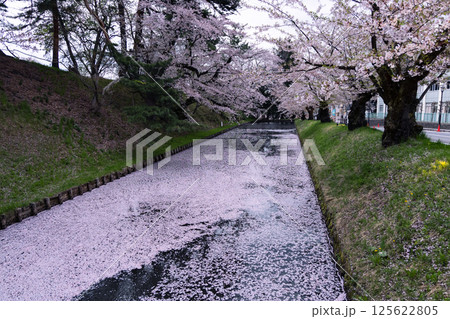 弘前公園の桜 125622805