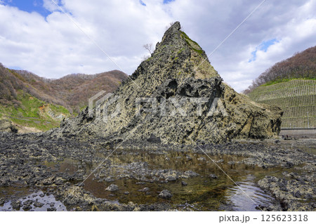 弁天島・泊村 125623318