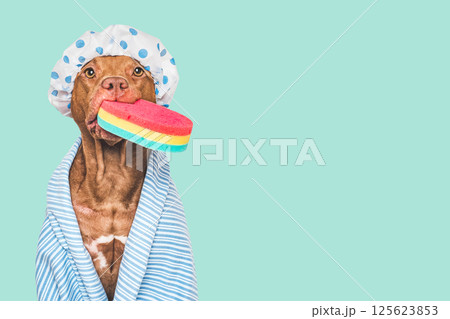 Cute dog, shower cap, washcloth and blue towel Cute dog, shower cap, washcloth and blue towel 125623853