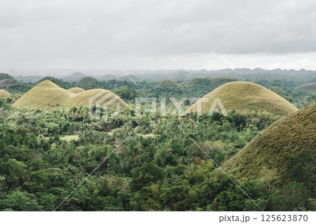 Stunning views of Chocolate Hills. Beautiful landmark Stunning views of Chocolate Hills. Beautiful landmark 125623870