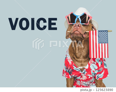 US Elections. 2024 Presidential Election. Adorable dog 125623890
