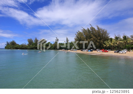 カウアイ島　ハナレイ湾 125623891