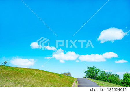 青空と草原 青空と草原 125624013