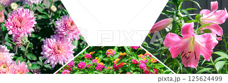 Colorful collage of flowers and garden. Mosaic pattern. 125624499
