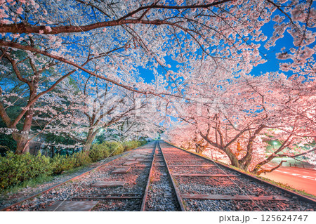 満開の桜と夜の蹴上インクライン 満開の桜と夜の蹴上インクライン 125624747