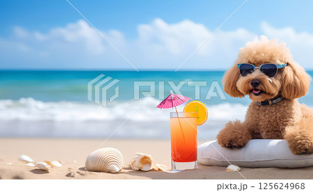 Poodle puppy on the sea on summer, vacation holidays concept 125624968