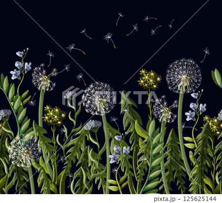 Seamless borser with dandelion and wild flowers.Seamless borser with dandelion and wild flowers. 125625144