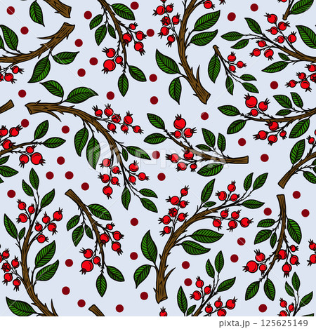 Seamless pattern with cranberries. 125625149