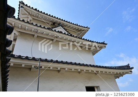 一般公開中の巽櫓の敷地内（明石城） 125625300