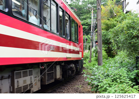 大平台 新緑 あじさい電車 大平台 新緑 あじさい電車 125625417