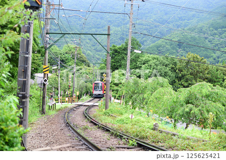 大平台 新緑  あじさい電車 大平台 新緑  あじさい電車 125625421