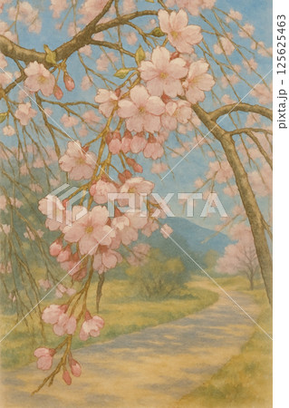 田舎道に咲く桜のイラスト 125625463