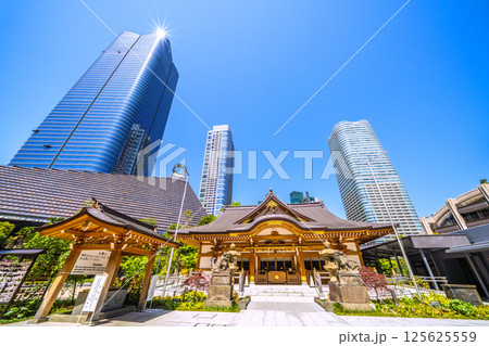 日本の東京都市景観 麻布台ヒルズや八幡神社などを望む 日本の東京都市景観 麻布台ヒルズや八幡神社などを望む 125625559