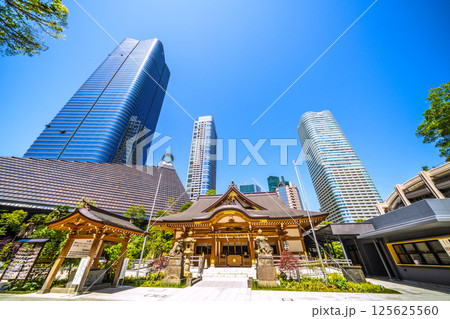 日本の東京都市景観 麻布台ヒルズや八幡神社などを望む 日本の東京都市景観 麻布台ヒルズや八幡神社などを望む 125625560