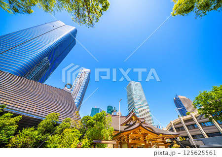 日本の東京都市景観 麻布台ヒルズや八幡神社などを望む 日本の東京都市景観 麻布台ヒルズや八幡神社などを望む 125625561