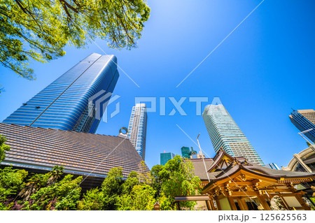 日本の東京都市景観　麻布台ヒルズや八幡神社などを望む 125625563