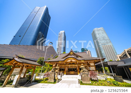 日本の東京都市景観　麻布台ヒルズや八幡神社などを望む 125625564