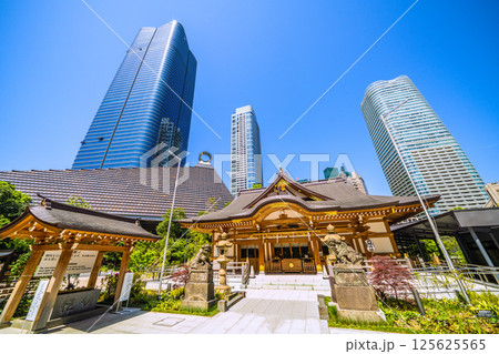 日本の東京都市景観　麻布台ヒルズや八幡神社などを望む 125625565