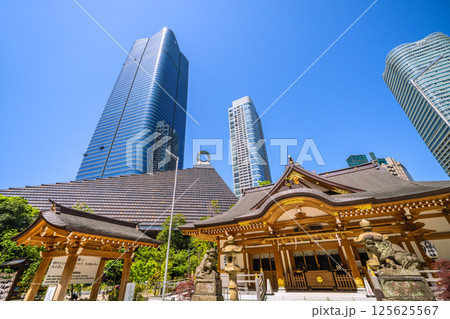 日本の東京都市景観 麻布台ヒルズや八幡神社などを望む 日本の東京都市景観 麻布台ヒルズや八幡神社などを望む 125625567