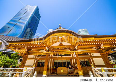 日本の東京都市景観 麻布台ヒルズや八幡神社などを望む 日本の東京都市景観 麻布台ヒルズや八幡神社などを望む 125625568
