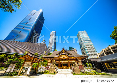 日本の東京都市景観　麻布台ヒルズや八幡神社などを望む 125625572