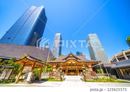 日本の東京都市景観　麻布台ヒルズや八幡神社などを望む 125625573