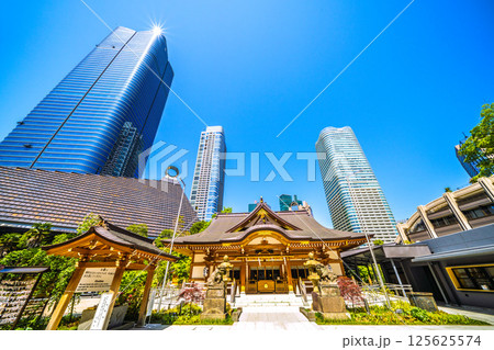 日本の東京都市景観　麻布台ヒルズや八幡神社などを望む 125625574