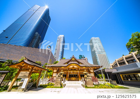 日本の東京都市景観 麻布台ヒルズや八幡神社などを望む 日本の東京都市景観 麻布台ヒルズや八幡神社などを望む 125625575