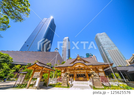 日本の東京都市景観 麻布台ヒルズや八幡神社などを望む 日本の東京都市景観 麻布台ヒルズや八幡神社などを望む 125625576