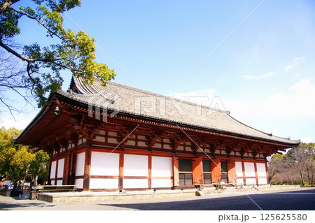 京都府　東寺・講堂（重要文化財） 京都市 南区 九条町　2022年2月 125625580