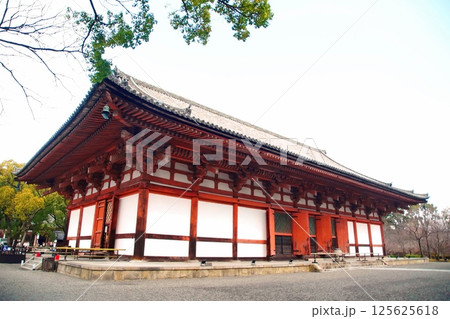 京都府　東寺・講堂（重要文化財） 京都市 南区 九条町　2022年2月 125625618