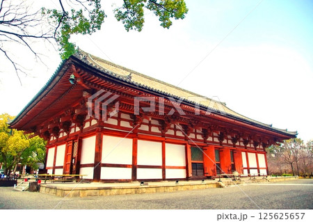 京都府　東寺・講堂（重要文化財） 京都市 南区 九条町　2022年2月 125625657