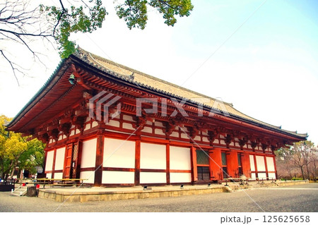 京都府 東寺・講堂(重要文化財) 京都市 南区 九条町 2022年2月 京都府 東寺・講堂(重要文化財) 京都市 南区 九条町 2022年2月 125625658