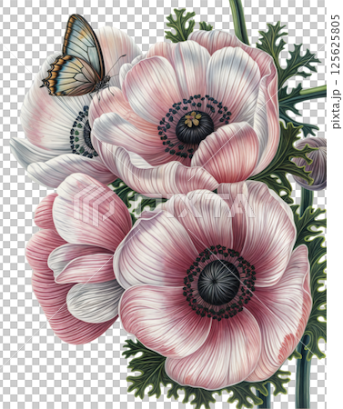 Yellow Cabbage White on Pink Anemone Flower 125625805