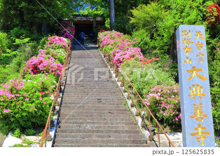【佐賀県】ツツジが満開の大興善寺の石段(きぼうの坂) 【佐賀県】ツツジが満開の大興善寺の石段(きぼうの坂) 125625835