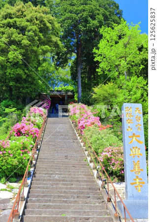 【佐賀県】ツツジが満開の大興善寺の石段（きぼうの坂） 125625837