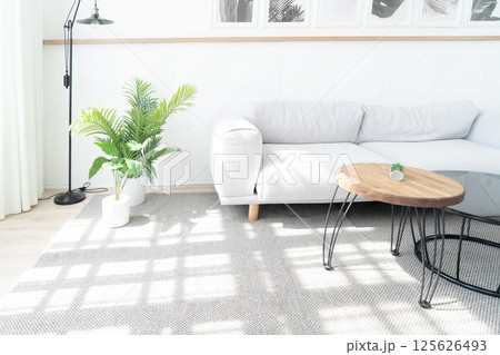 An Elegant Modern Living Room Featuring a Cozy Sofa Accompanied by a Stylish Coffee Table for Your Comfort An Elegant Modern Living Room Featuring a Cozy Sofa Accompanied by a Stylish Coffee Table for Your Comfort 125626493