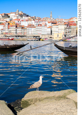 historic town of Porto, Portugal historic town of Porto, Portugal 125626570