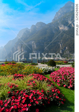 Garda lake landscape 125626606