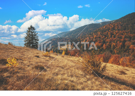 Autumn in the mountains. View of the mountains in autumn. Beautiful nature landscape. Carpathian mountains. Synevyr Pass, Zakarpattia Oblast, Ukraine 125627416