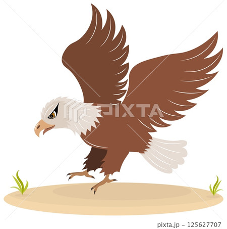 Cute zoo. Vector animals. Bald eagle. Vector collection of animals. Isolated Cute zoo. Vector animals. Bald eagle. Vector collection of animals. Isolated 125627707