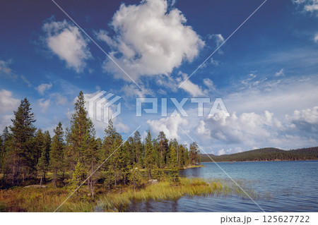 Lakeshore with trees and blue sky in summer. Inari lake. Beautiful nature of Finland. Europe Lakeshore with trees and blue sky in summer. Inari lake. Beautiful nature of Finland. Europe 125627722