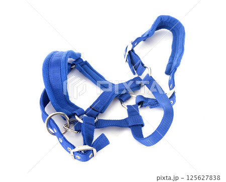 halter in studio 125627838