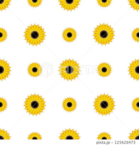 Seamless pattern yellow Sunflowers isolated on white background. 125628473