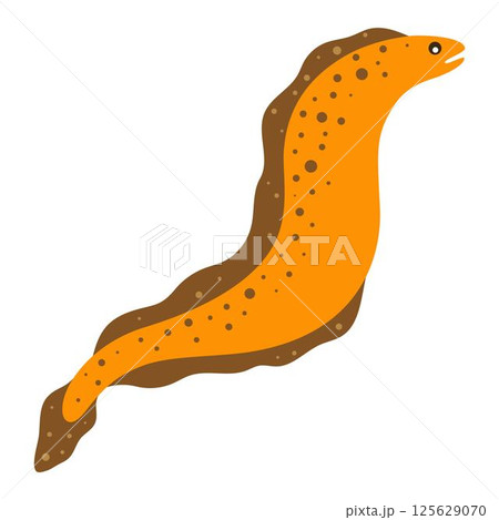 moray eel isolated 125629070