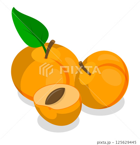 3D Isometric Flat Set of Apricots and Elements. Item 1 3D Isometric Flat Set of Apricots and Elements. Item 1 125629445